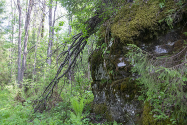 Similar image 21500145