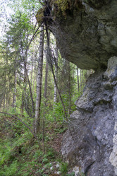 Similar image 21498708