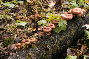 Similar image 21497872