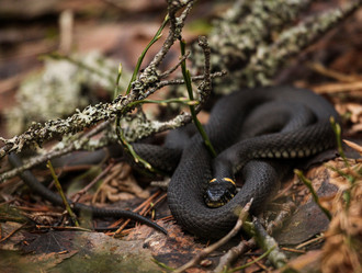 Similar image 21502019