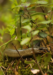 Similar image 21502022