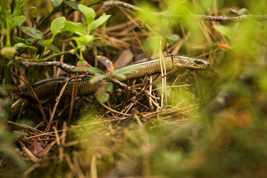 Similar image 21502023