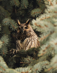 Similar image 21502024