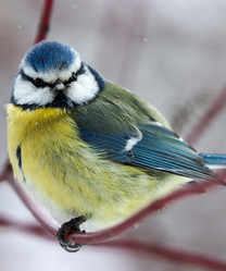 Similar image 21502025