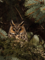 Similar image 21502026