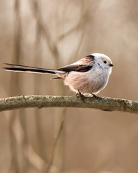 Similar image 21502027