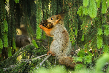 Similar image 21502030