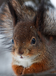 Similar image 21502031