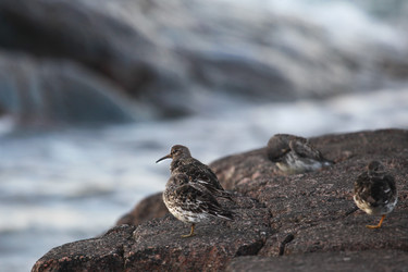 Similar image 21502032