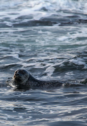 Similar image 21502034