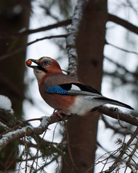 Similar image 21502038