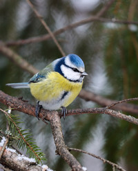 Similar image 21502041