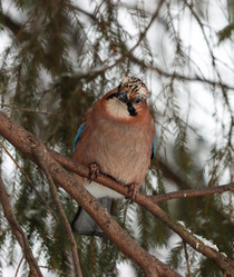 Similar image 21502042