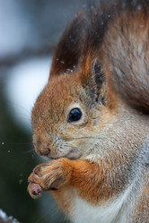 Similar image 21502044