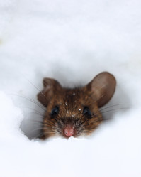 Similar image 21502045