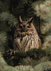 Similar image 21499882