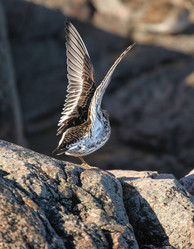 Similar image 21499883