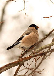 Similar image 21499886