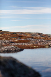 Similar image 21499889