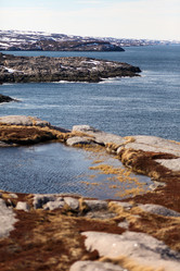 Similar image 21499892