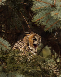 Similar image 21499893