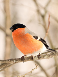 Similar image 21499897