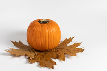 Similar image 21498209