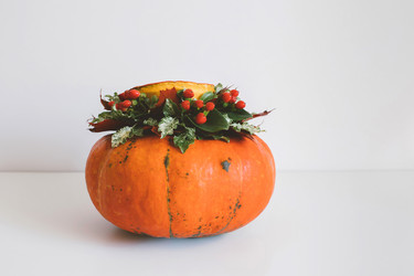 Similar image 21498210