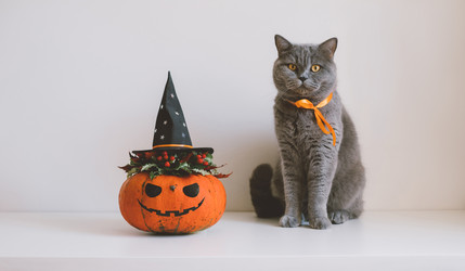 Similar image 21498222