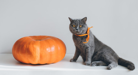 Similar image 21498224