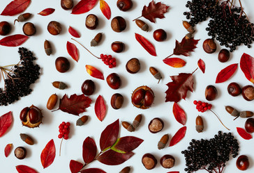 Similar image 21498232