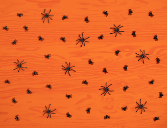 Similar image 21498239