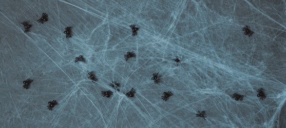 Similar image 21498250