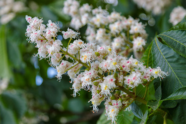 Similar image 21498574