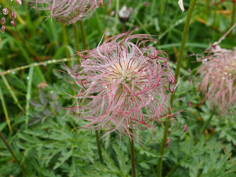 Similar image 21498386