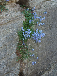 Similar image 21498390