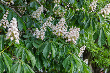 Similar image 21498492