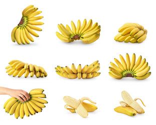 Similar image 21498335