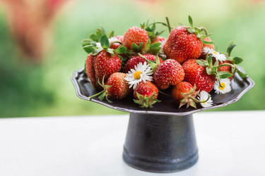 Similar image 21498292