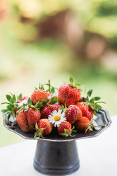 Similar image 21498293