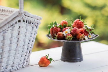 Similar image 21498299