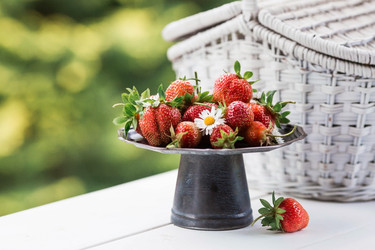 Similar image 21498301