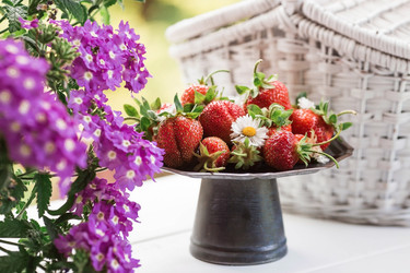 Similar image 21498302