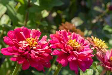 Similar image 21498309