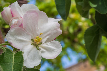 Similar image 21498310