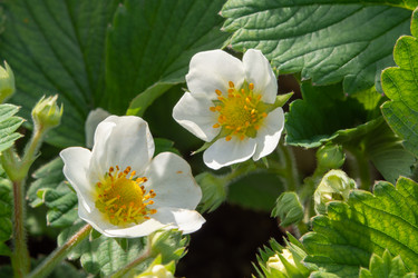 Similar image 21498311