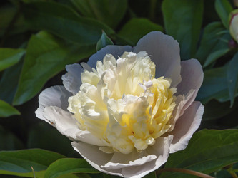 Similar image 21498313