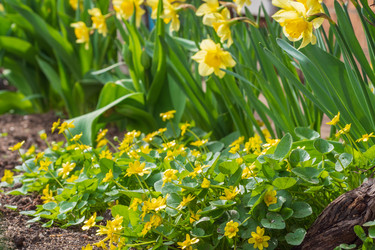 Similar image 21498318