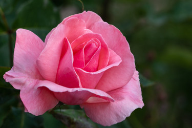 Similar image 21498319