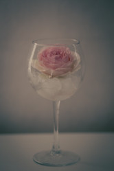 Similar image 21498747